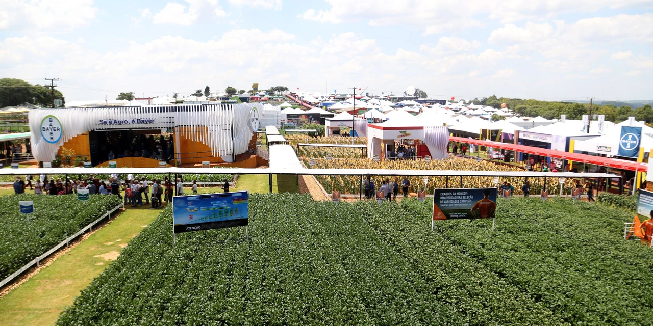Para prevenir gripe aviária, Adapar renova proibição de aves em eventos agropecuários