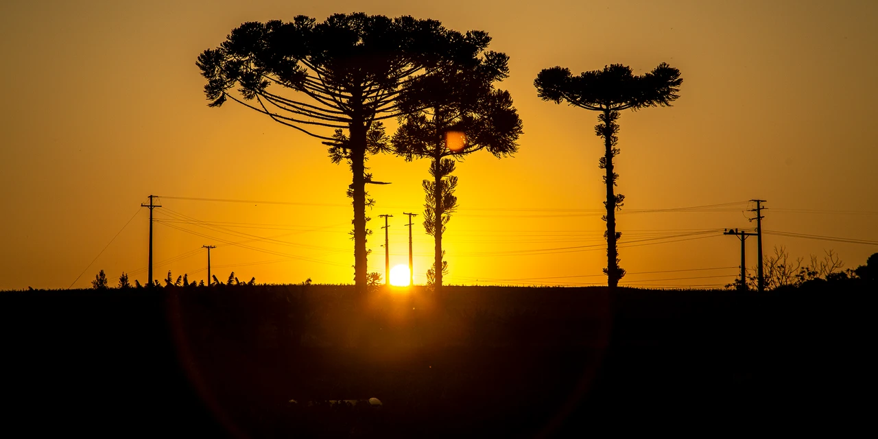 2023 foi o 2º ano mais quente desde 1979 no Oeste do Paraná