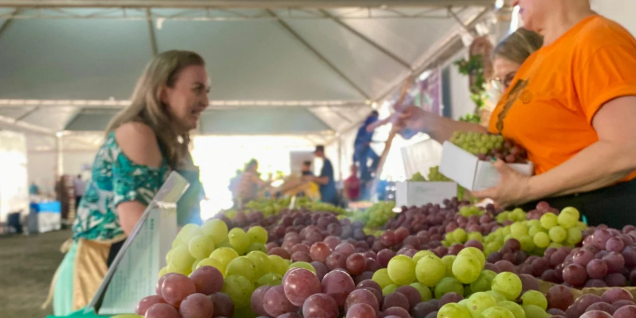 Fesuva: Mais de 29 mil kg da fruta são comercializados durante o evento