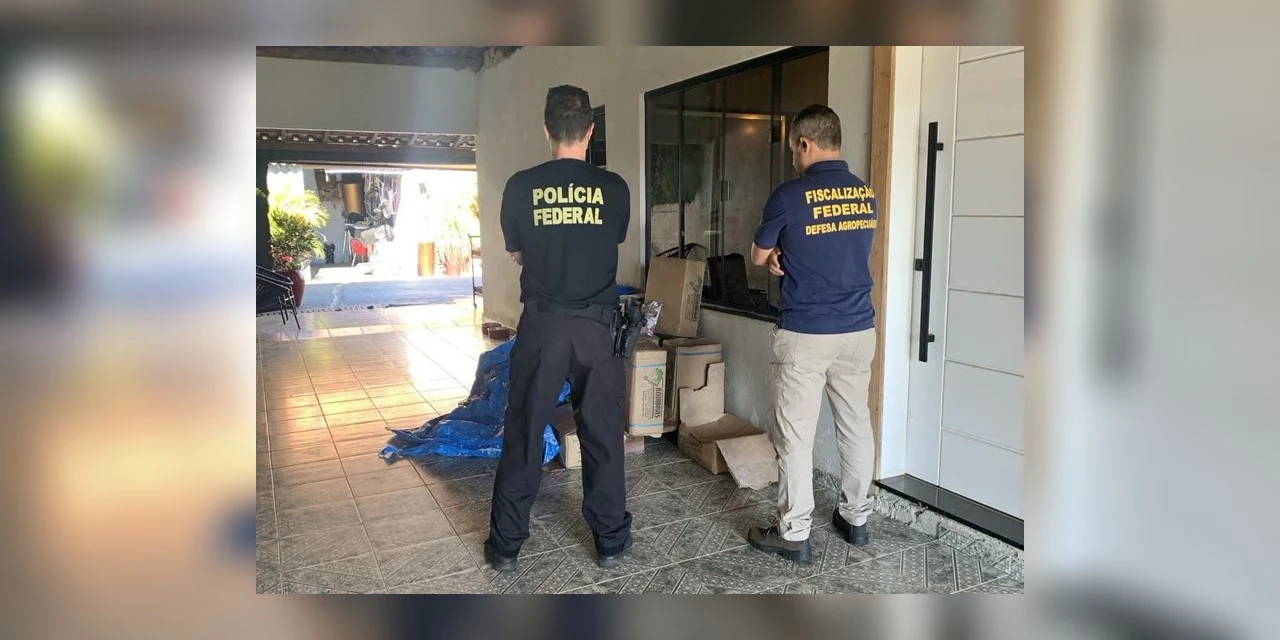 Ministério da Agricultura e PF fiscalizam fabricação clandestina de produtos destinados à alimentação animal no PR