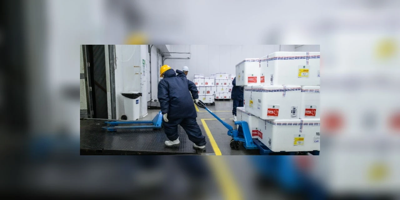 Ministério da Saúde inicia distribuição de vacinas contra dengue