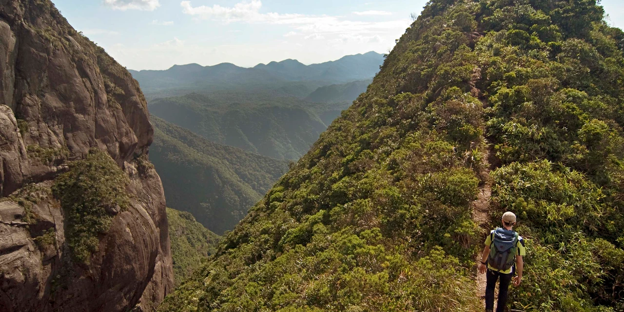 Com alta do turismo, setor de serviços do Paraná cresceu 11% em 2023, 2ª maior alta do Brasil