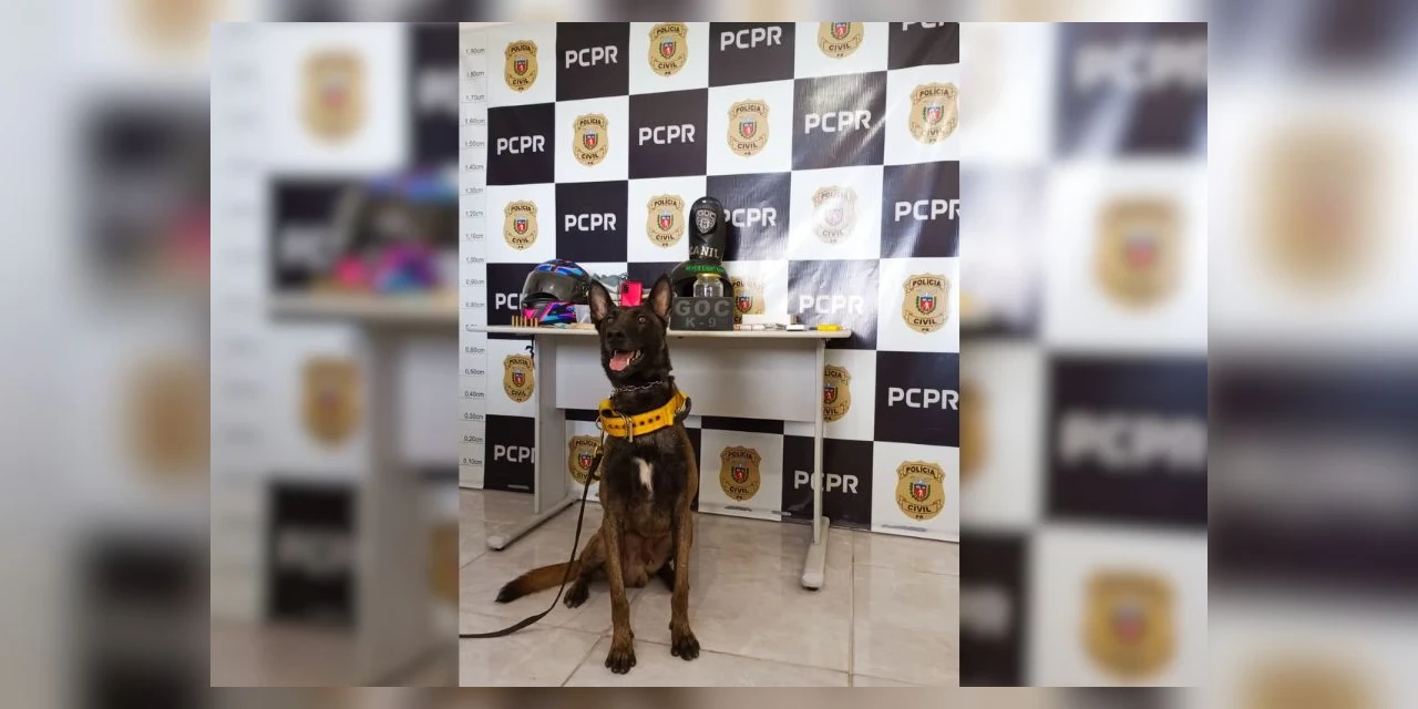 Polícia Civil prende quatro suspeitos nos Campos Gerais