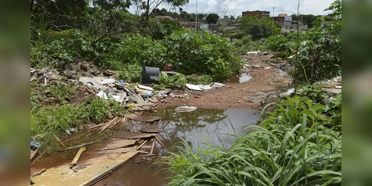 Universidade de Brasília faz pesquisas para controlar Aedes aegypti