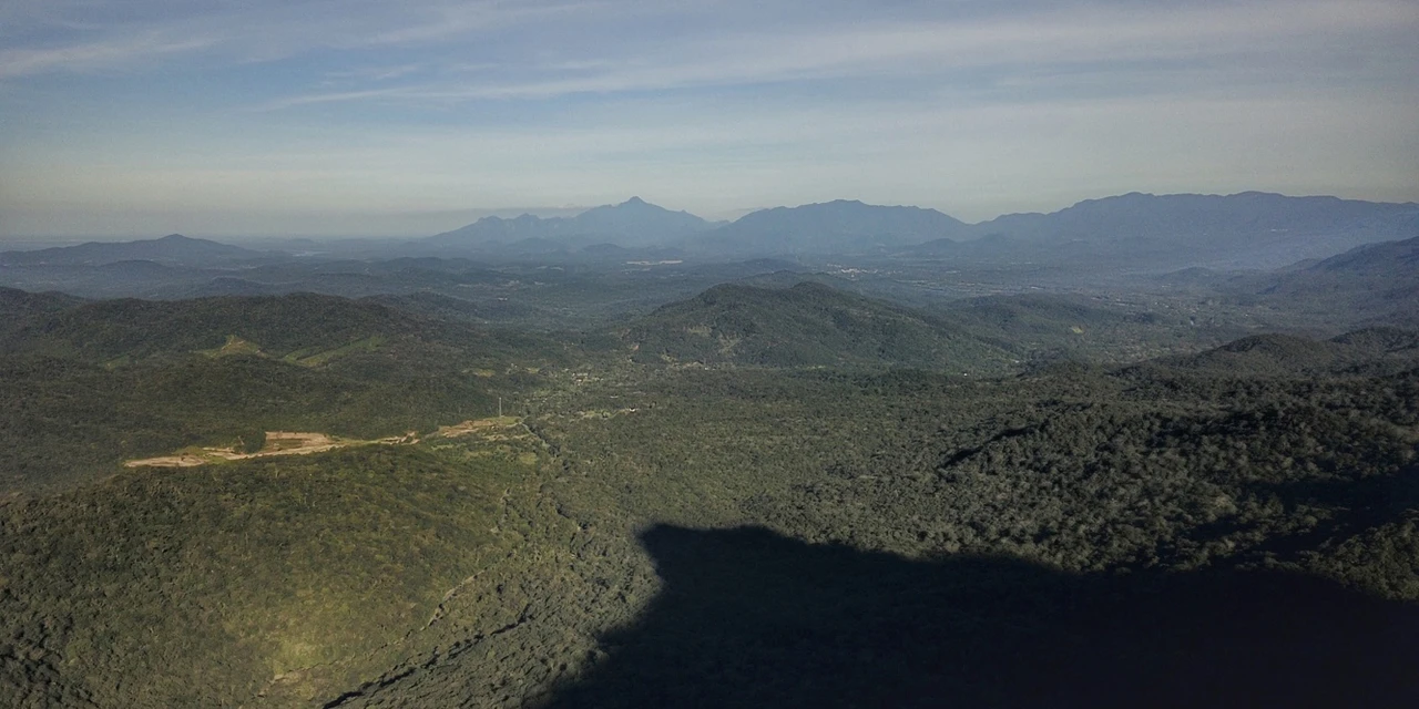 IAT indica redução de 71,5% na área de Mata Atlântica desmatada em 2023