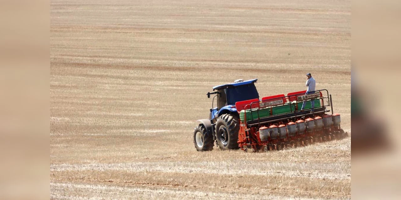Paraná está entre os três maiores exportadores do agronegócio do país em janeiro