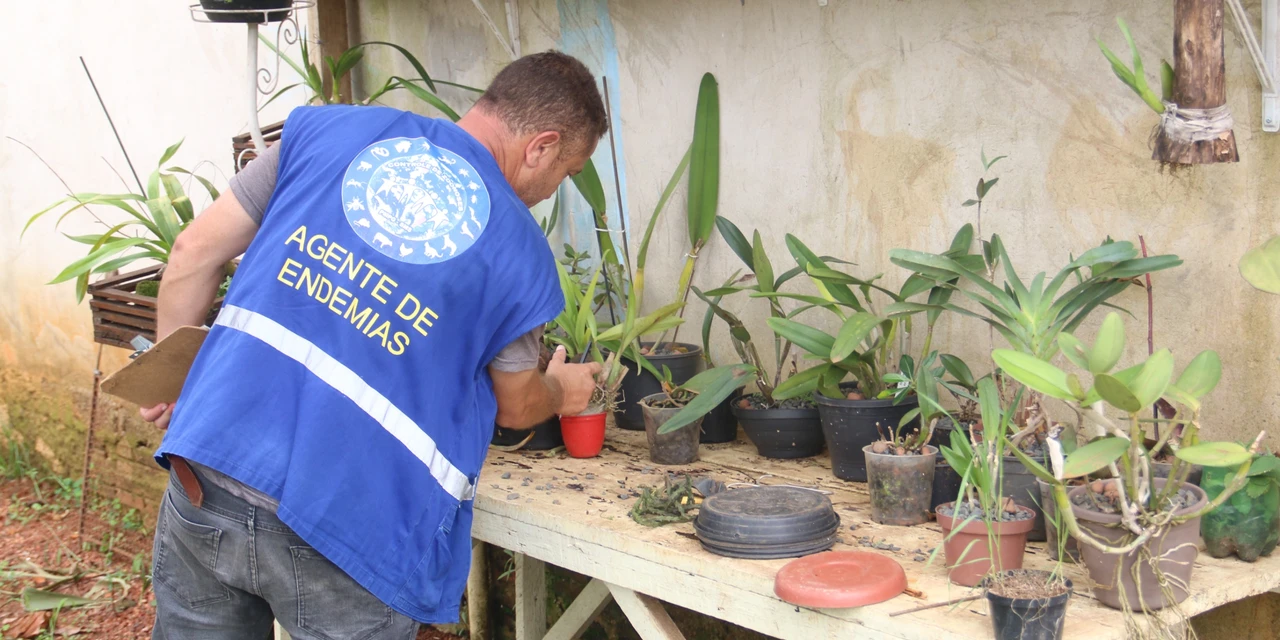 Prefeitura promove força-tarefa contra a dengue