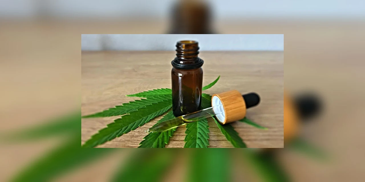 Associação Canábica dos Campos Gerais é criada em Ponta Grossa