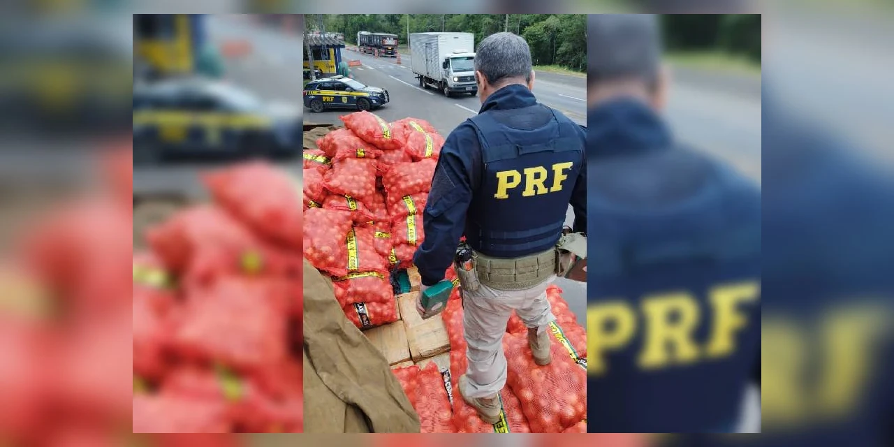 PRF apreende mais de uma tonelada de maconha em PG