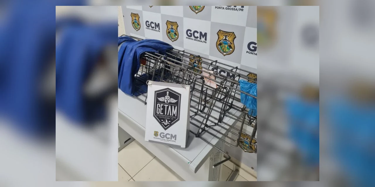 Suspeito é detido após furtar barras de ferro na vila Estrela