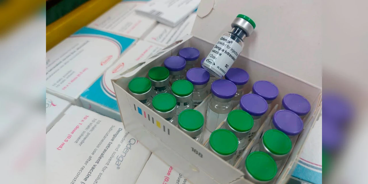 Um mês após início da vacinação da dengue, Paraná chega a 56% de doses aplicadas