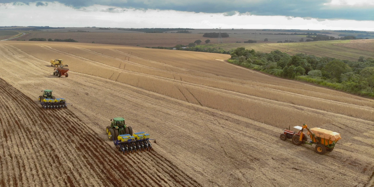 De janeiro a fevereiro, Plano Safra proporcionou 32 contratos para Ponta Grossa