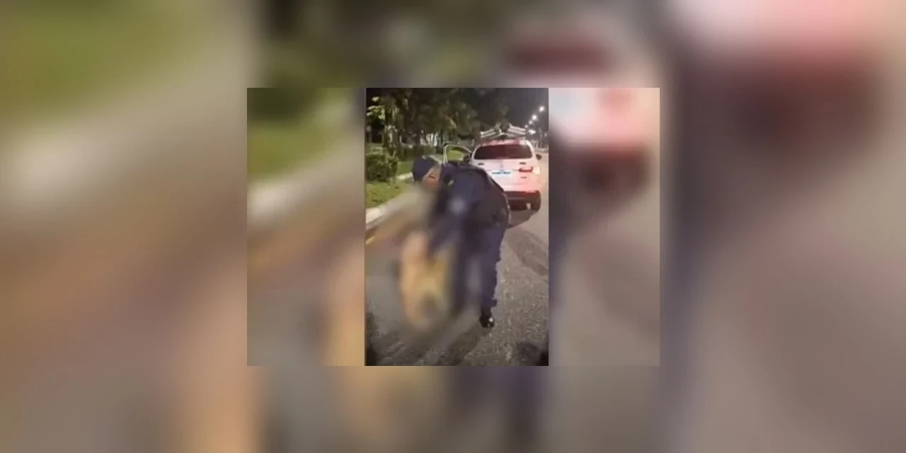 Bebê de 1 ano foge e é achado na companhia de cachorro caramelo