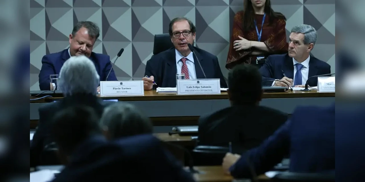 Comissão faz esforço concentrado no Senado para votar Código Civil