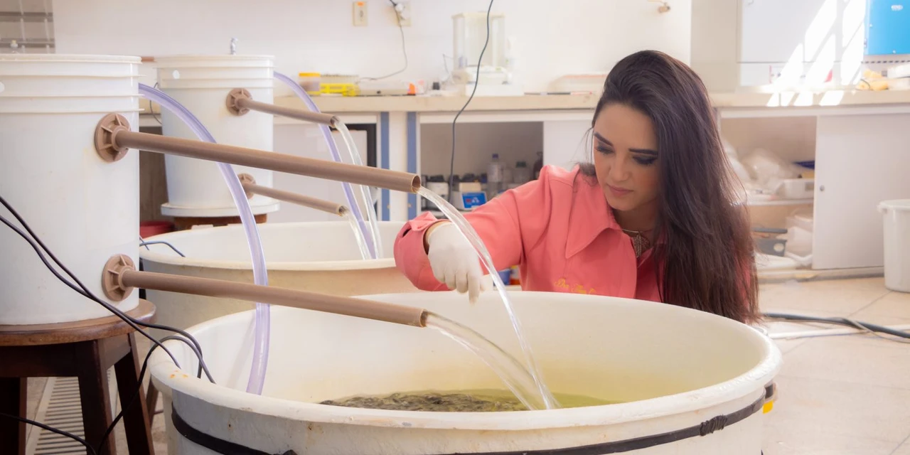 Professora de Zootecnia da UEPG recebe prêmio de melhor tese