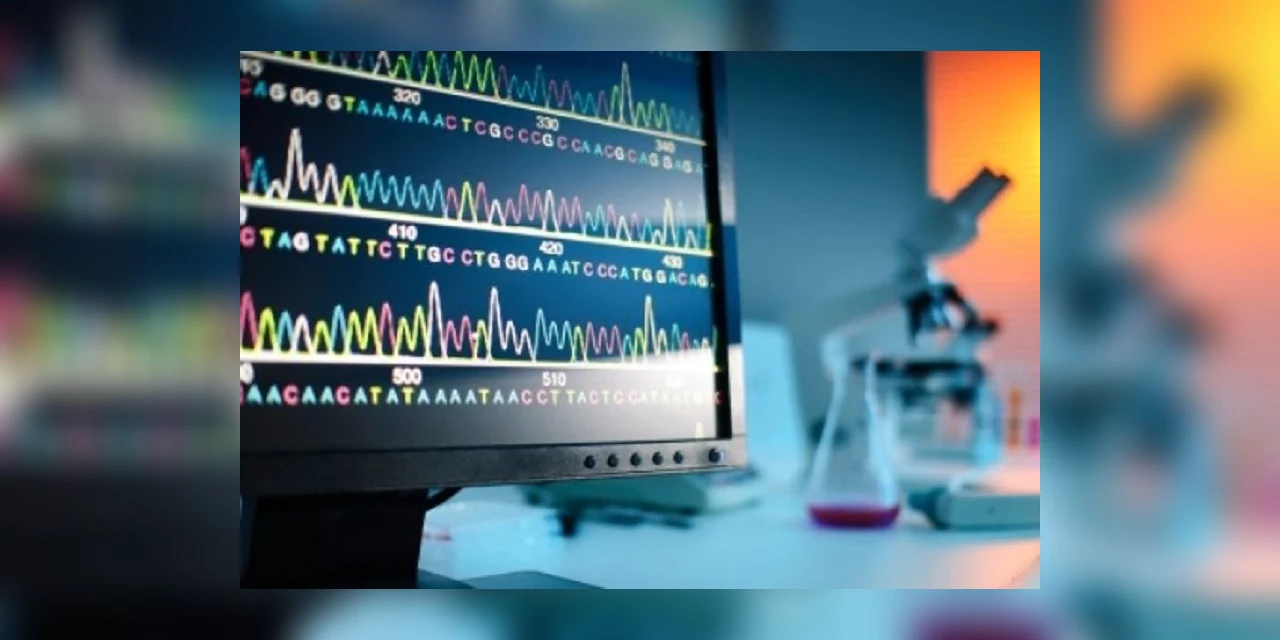 Genoma SUS recruta bolsistas nas áreas de ciência de dados e bioinformática