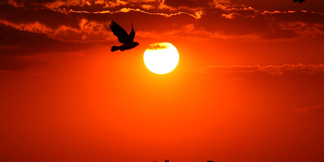 Inmet emite alerta de perigo para cidades do Paraná devido à onda de calor; temperatura pode chegar aos 38ºC