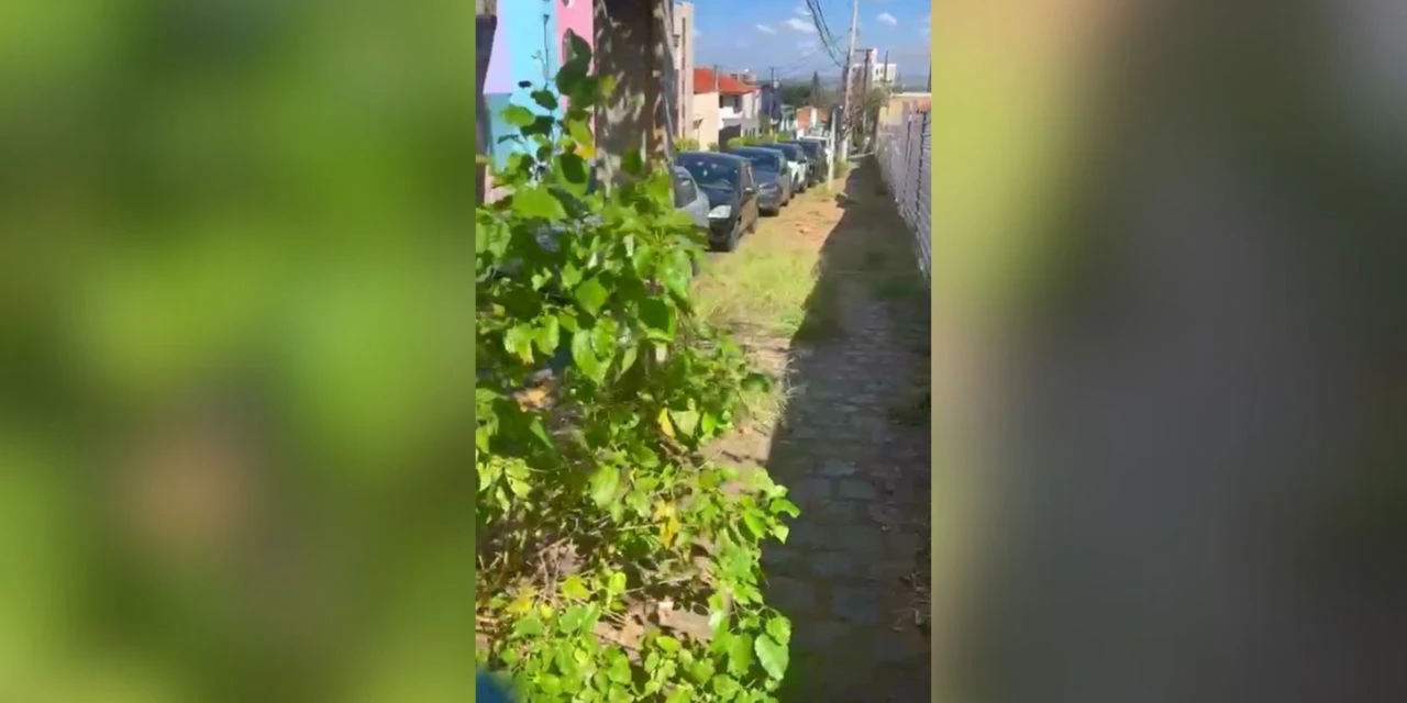 Blog do Barbiero: No centro da cidade, é mato na calçada ou calçada no mato? Você decide!