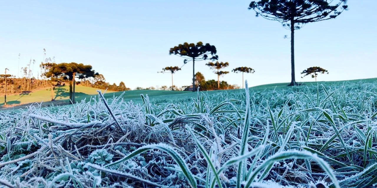 Alerta Geada começa nesta terça-feira para auxiliar na proteção das lavouras