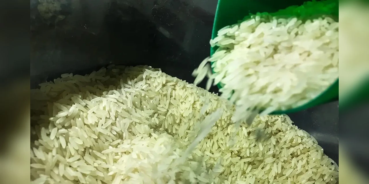 Governo autoriza compra de 1 milhão de toneladas de arroz