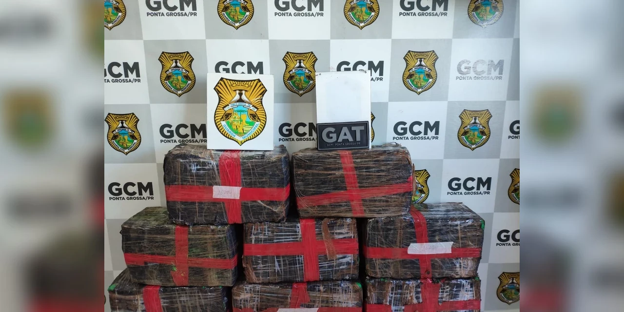 Guarda Municipal encontra mais de 229 quilos de maconha em Uno Mille abandonado