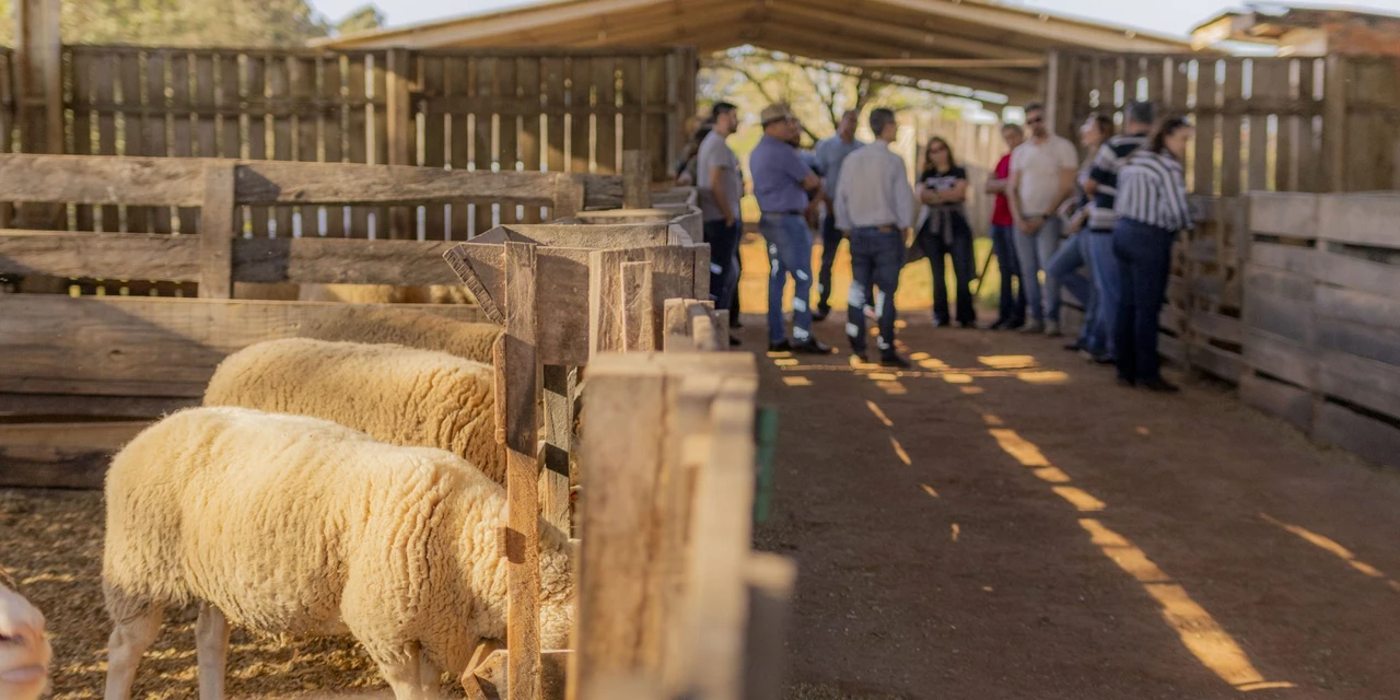 UEPG planeja melhorias na produção animal da Fazenda Escola