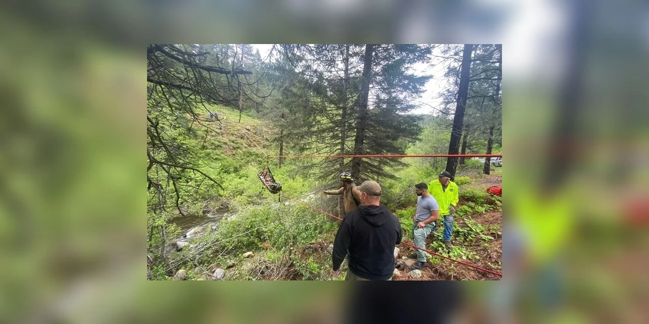 Tutor é resgatado após cachorro correr 6 km para pedir ajuda