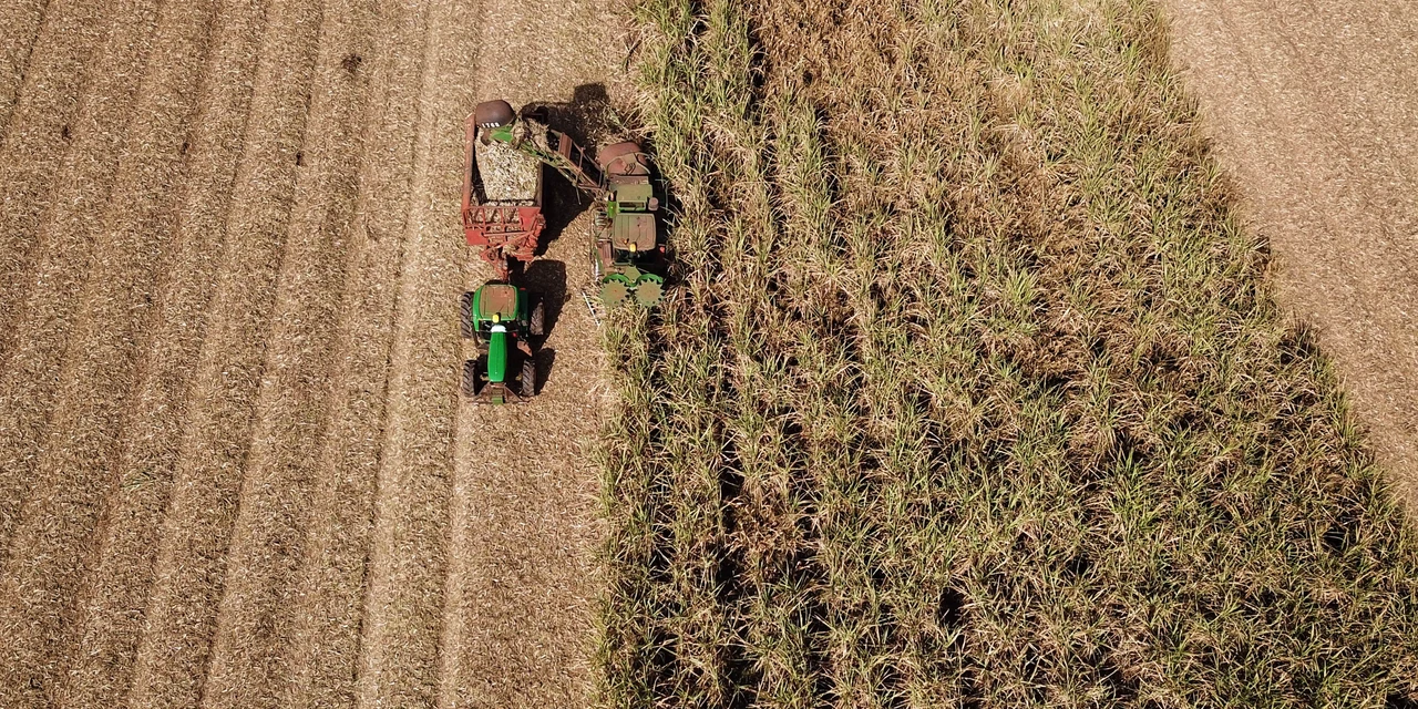 Agro forte: Valor Bruto da Produção Agropecuária (VBP) do Paraná cresce 11% em 2023 e alcança R$ 197,8 bilhões