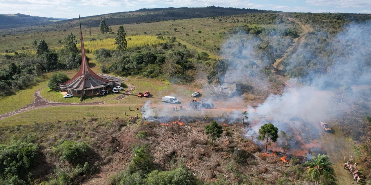 Livre do pinus: IAT finaliza etapa de junho com a limpeza 11,2 hectares em Vila Velha