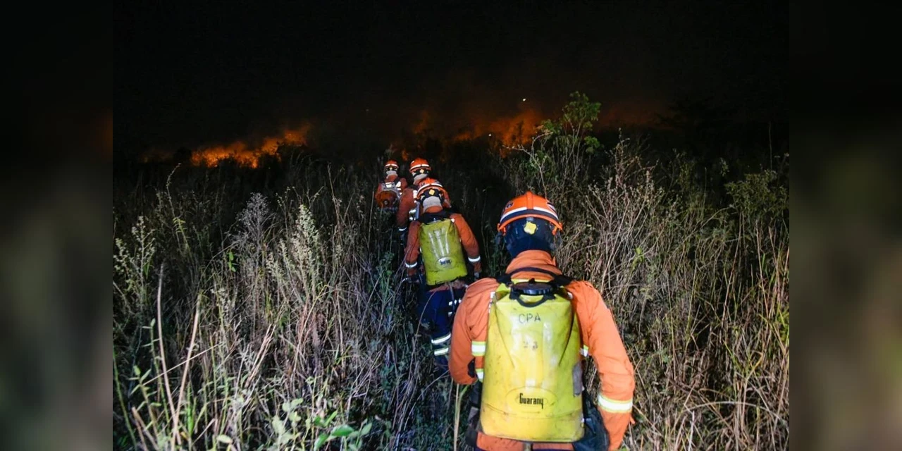 Governo do MS declara situação de emergência em cidades atingidas pelos incêndios no Pantanal
