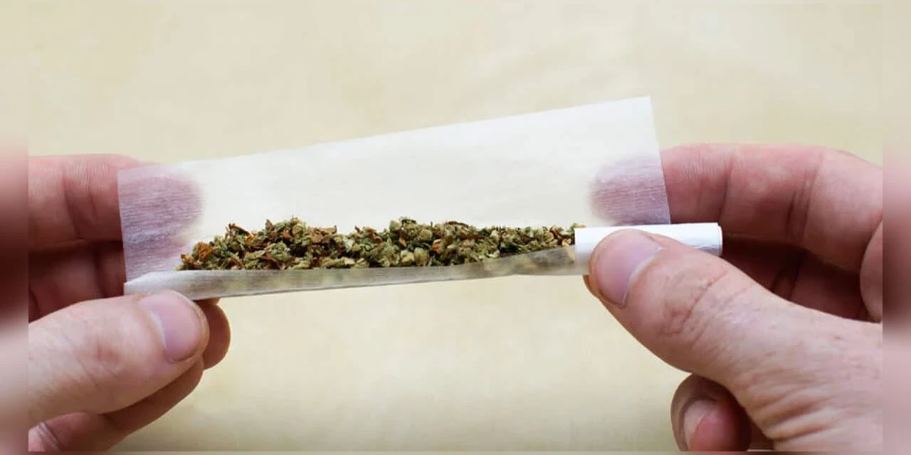 Porte de maconha: Quantidade de droga vai diferenciar uso pessoal e tráfico