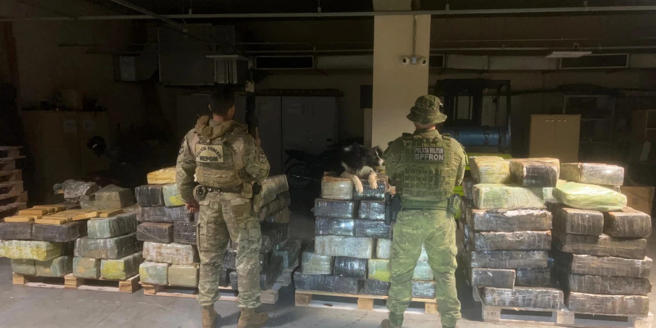 PMPR apreende mais de 2,7 toneladas de maconha no Paraná
