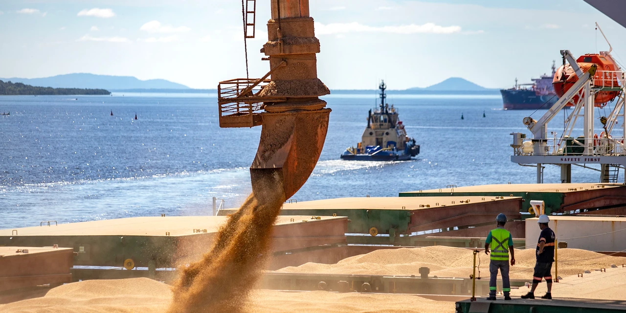 4% a mais: exportações dos portos do Paraná batem 16,8 mil toneladas nos 5 primeiros meses