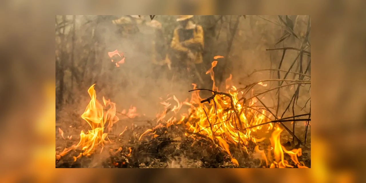 Focos de incêndio no Pantanal estão sob investigação da PF, diz Marina