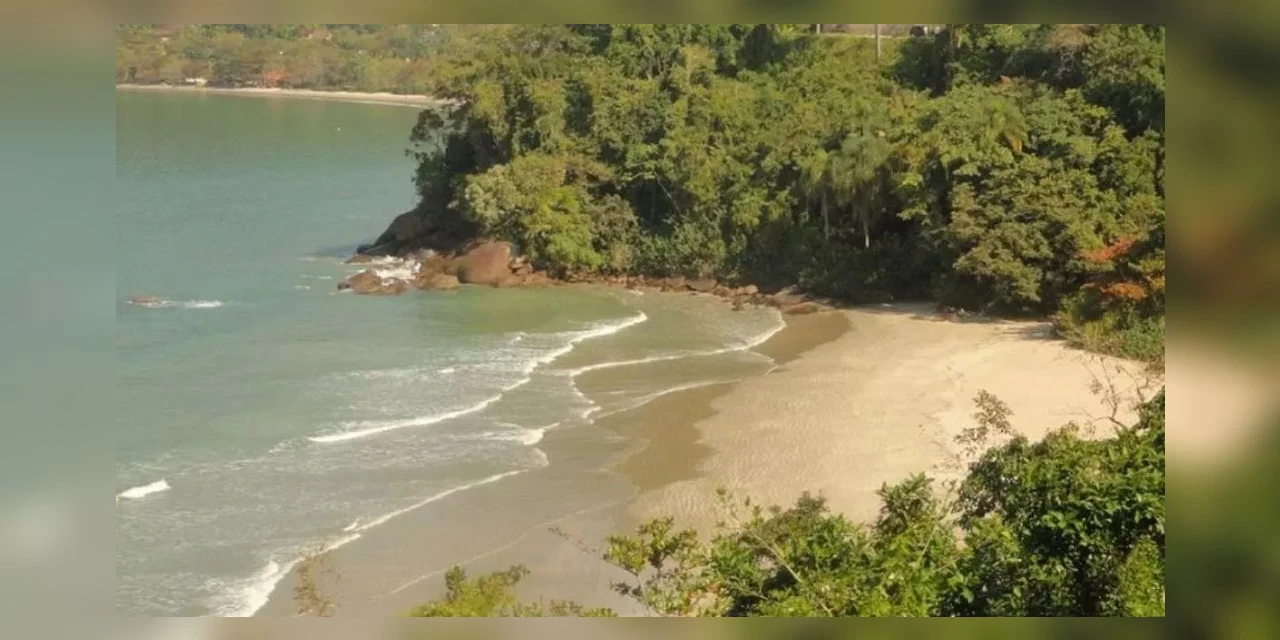 Pai e filho morrem eletrocutados durante trilha; polícia investiga o caso