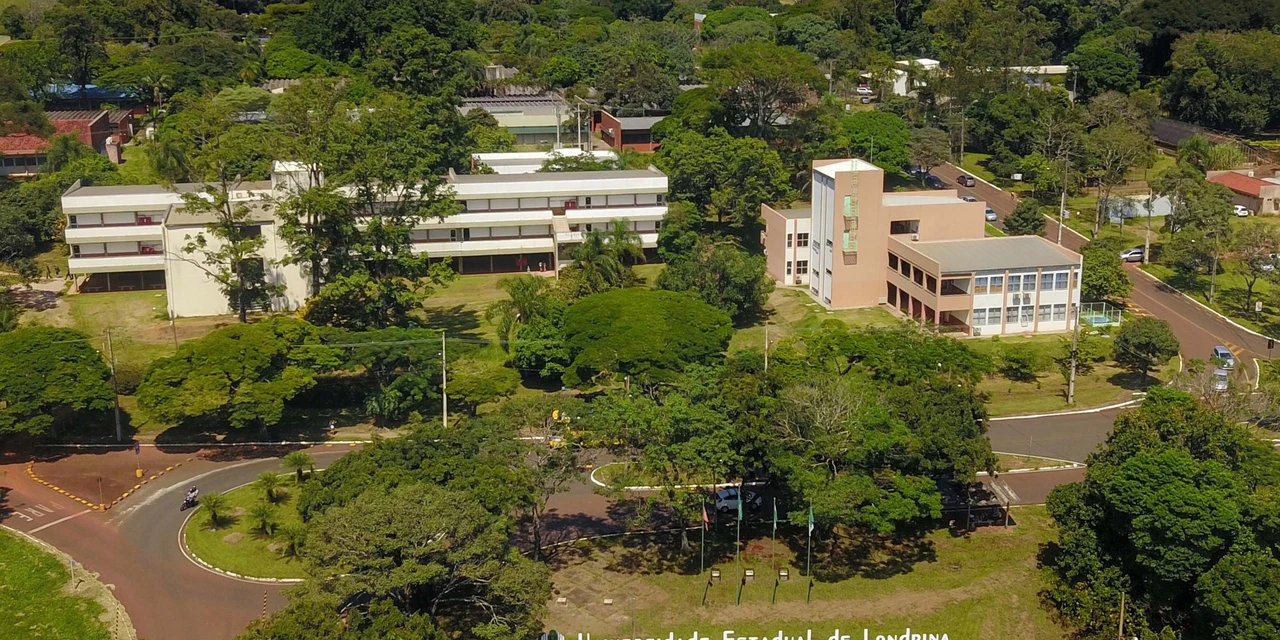UEL reserva vaga para negros e PCDs em concursos públicos para professores