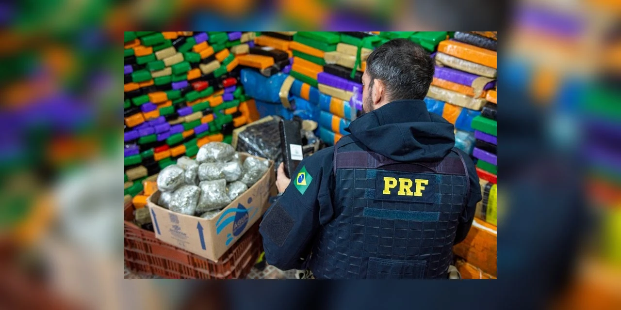 PRF fecha primeiro semestre com número recorde de apreensão de drogas no Paraná