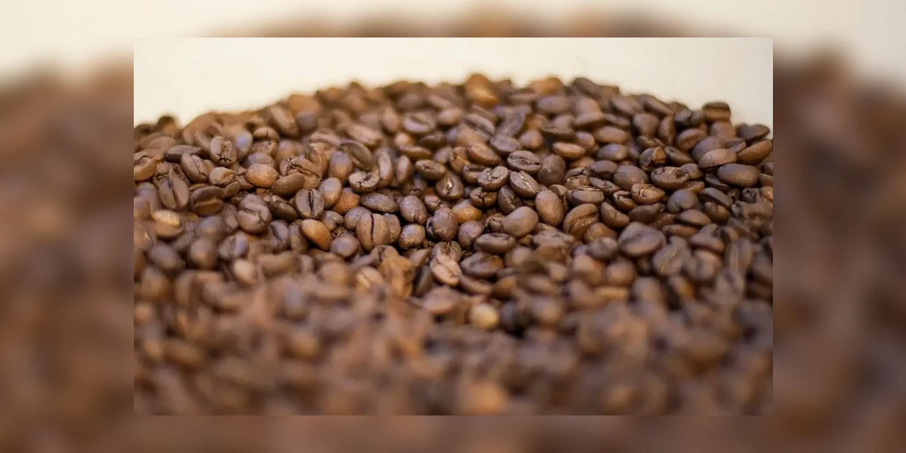 Conheça os elementos que tornam o café torrado impróprio para consumo