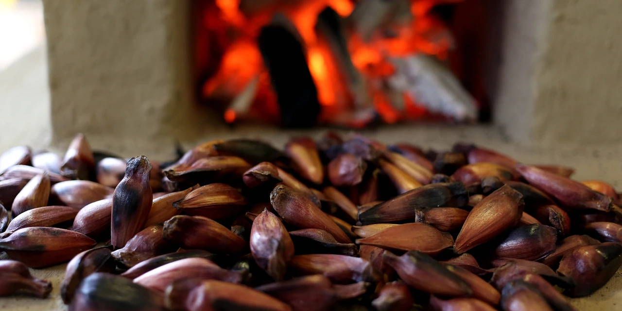 Quatro deliciosas receitas com pinhão para esse inverno, por Juliano Komay