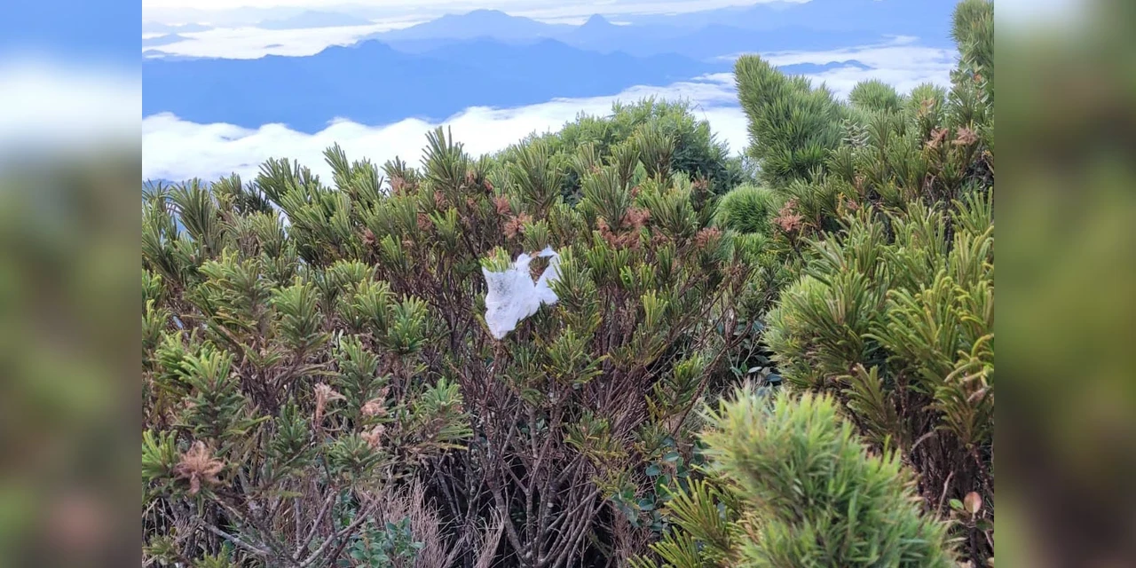 IAT alerta para o consumo de água de fontes que abastecem Unidades de Conservação