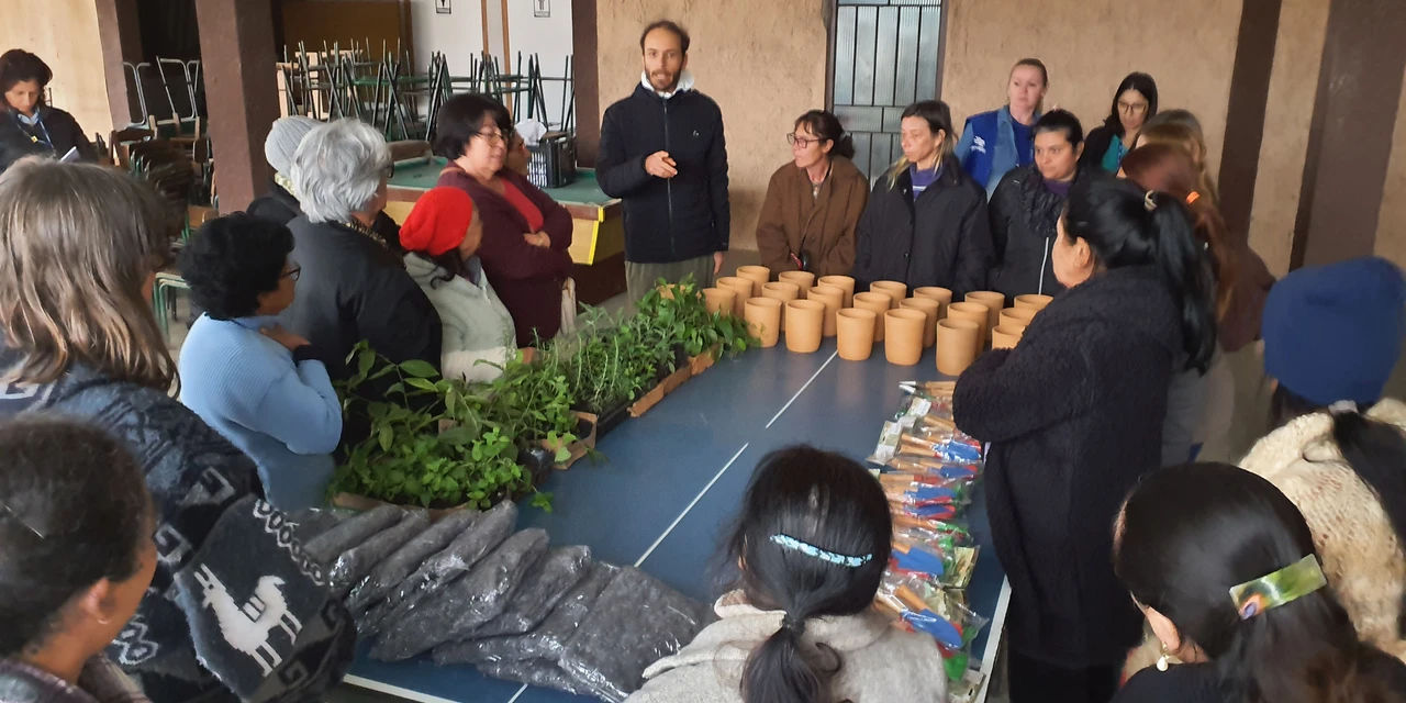 Sanepar oferta cursos sobre plantas alimentícias não convencionais e medicinais