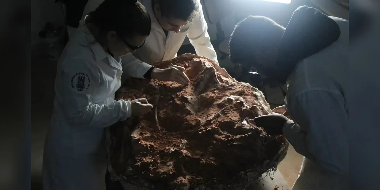 Fóssil encontrado no RS vai ajudar a entender a origem dos dinossauros