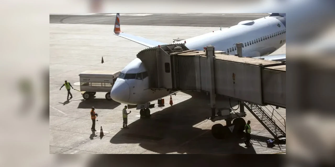 Comissão do governo vai definir regras para transporte aéreo de pets