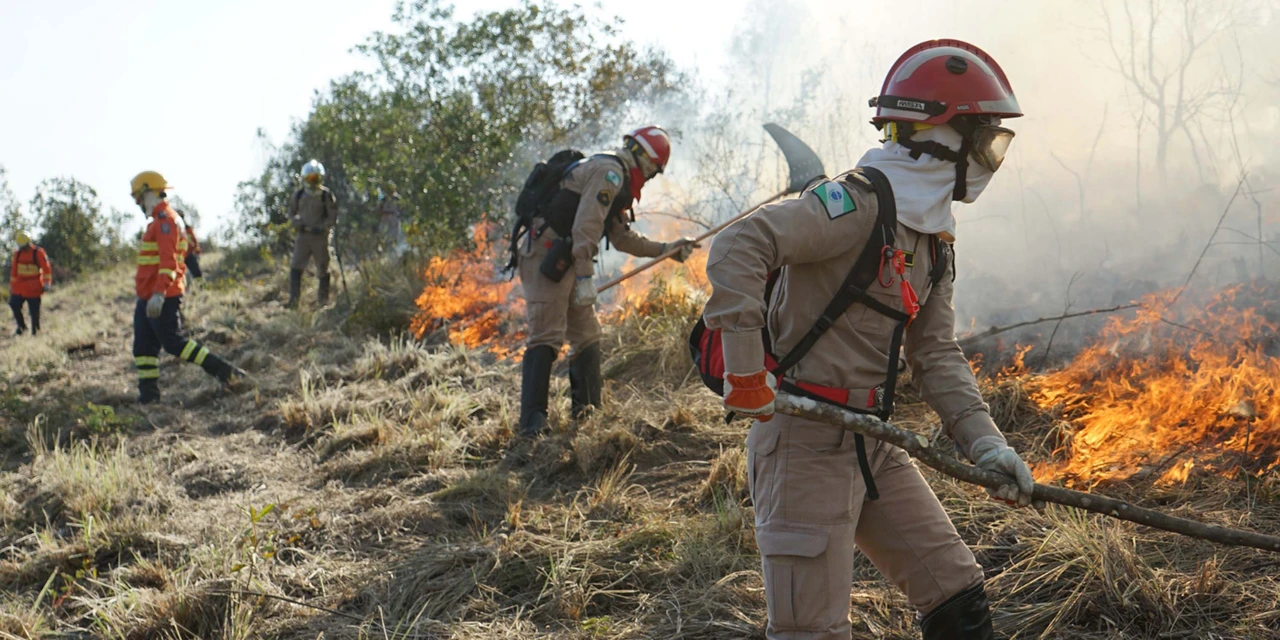 Bombeiros prestaram mais de 63 mil atendimentos no 1º semestre; incêndios cresceram