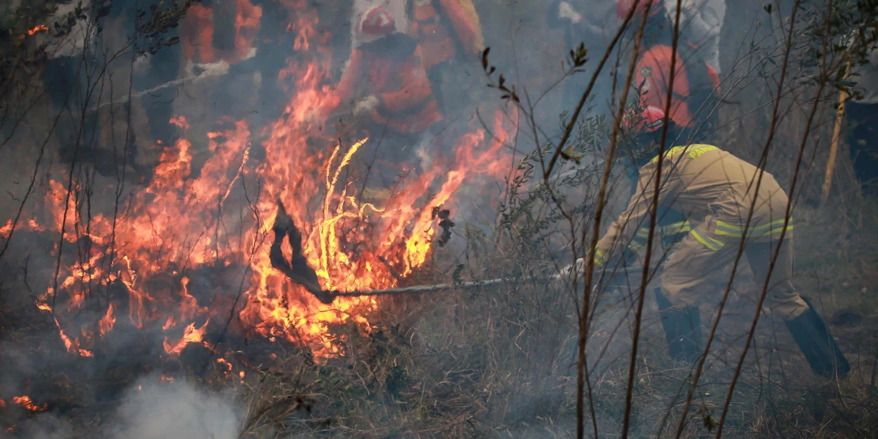 IAT abre nova turma para capacitação de brigadistas voluntários