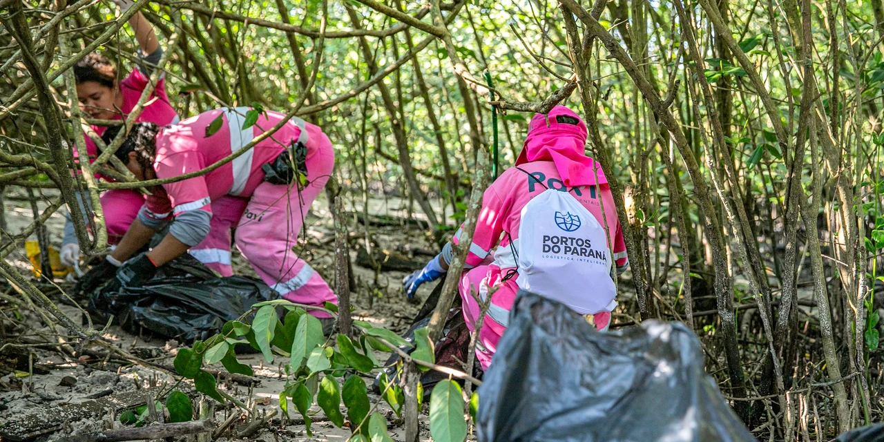 Mutirão de limpeza nos manguezais de Paranaguá recolhe 615 quilos de resíduos