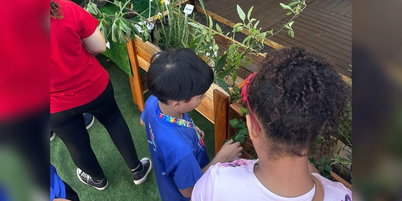 Governo do Estado promove a inclusão ambiental por meio de jardins sensoriais