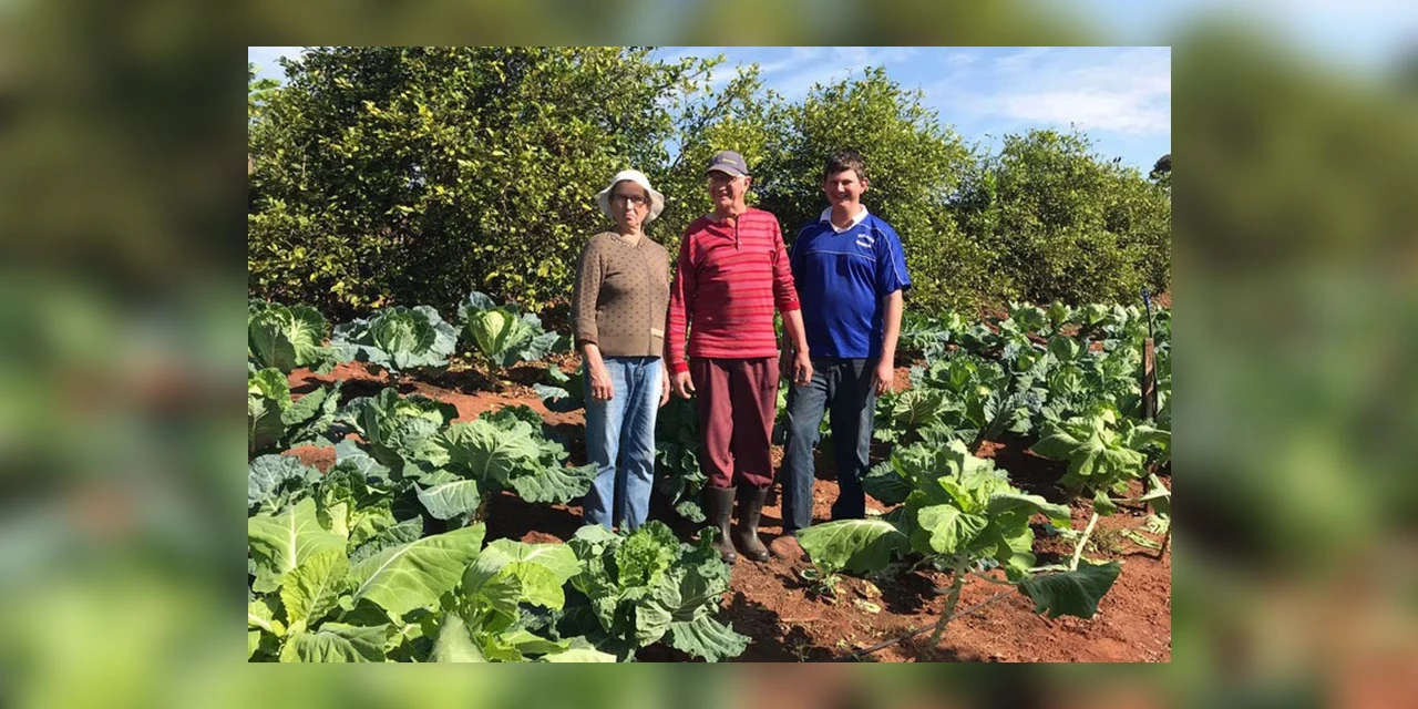 Dia da Agricultura Familiar: IDR-PR fez 155 mil atendimentos a produtores em sete meses