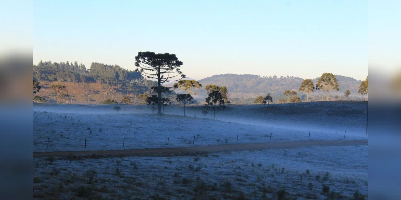 Frio em PG: Temperaturas caem no próximo fim de semana e há possibilidade de geada
