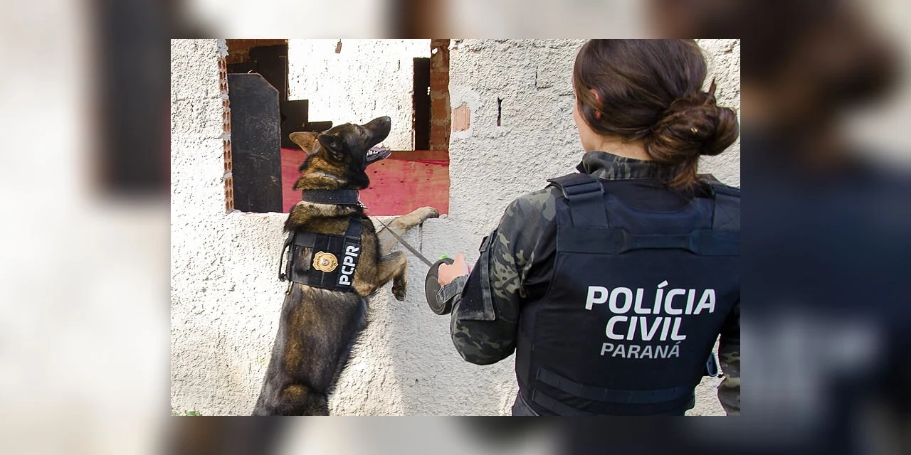 PCPR comemora 13 anos de atuação do Núcleo de Operações com Cães